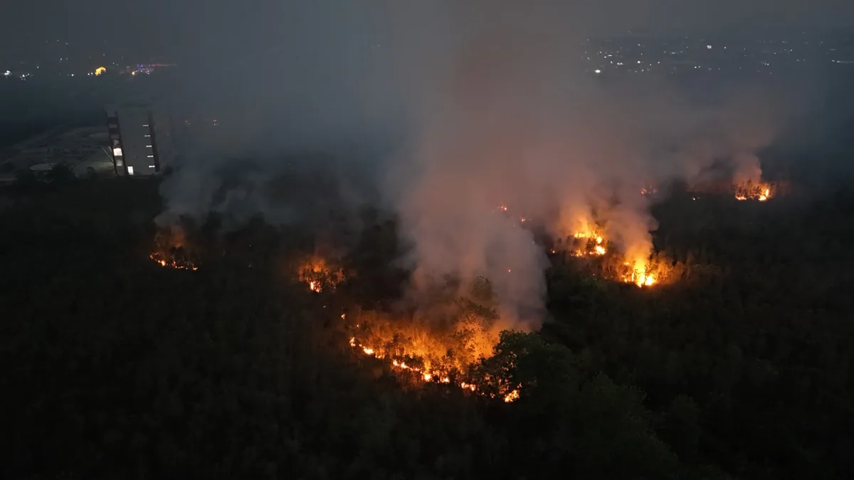 Kobaran kebakaran hutan dan lahan gambut di Palangka Raya Kalimantan Tengah