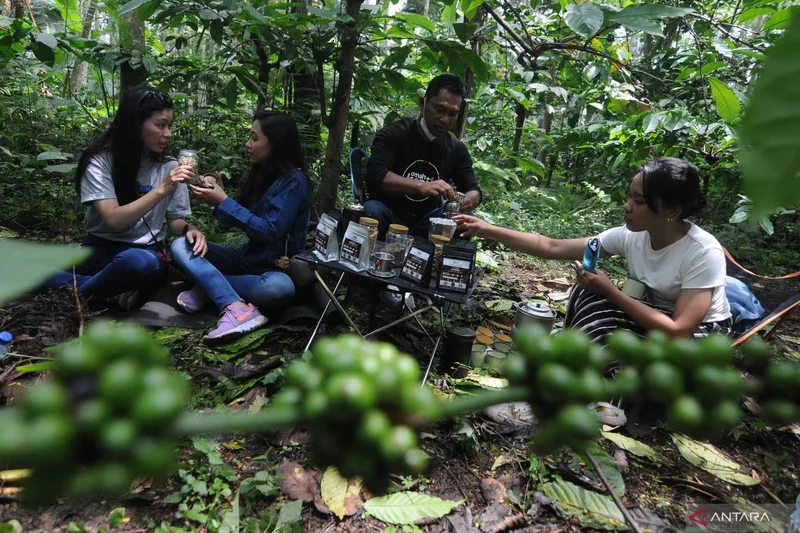 Kegiatan seduh kopi dan diskusi komunitas di kebun kopi lokal bersama pelanggan